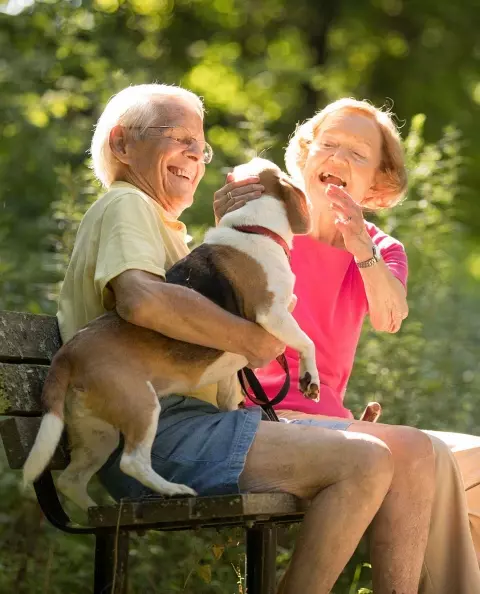 Senior couple playing with dog