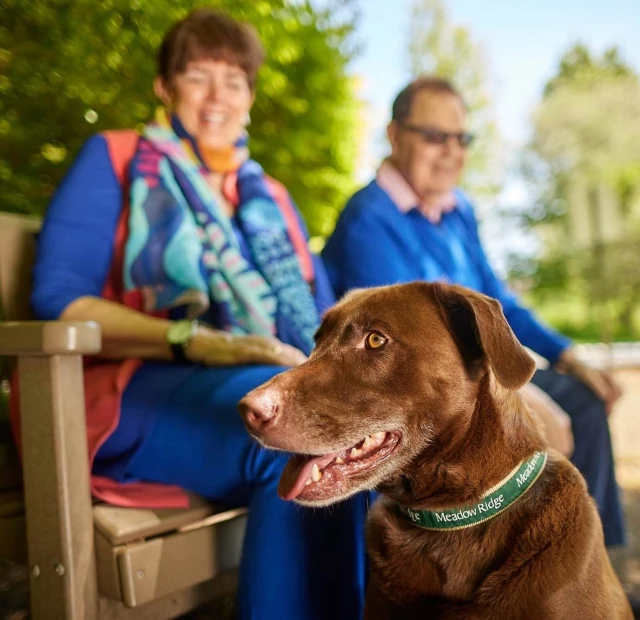 Seniors with dog outdoors