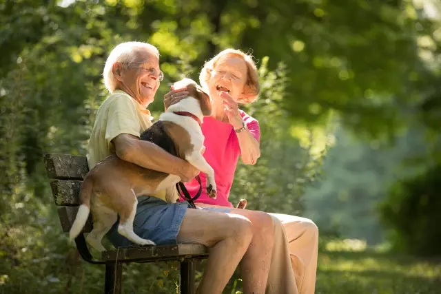 Senior couple playing with dog