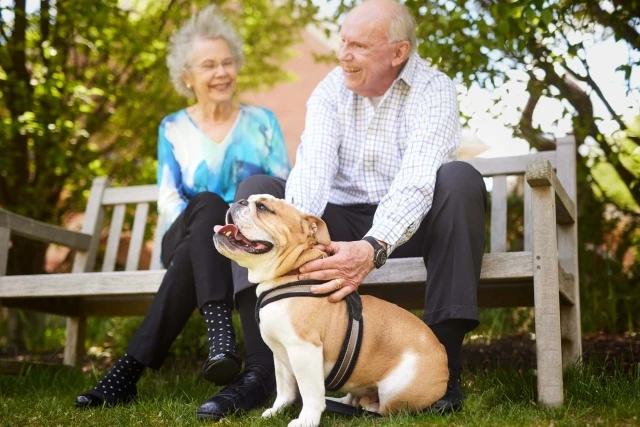 Senior couple with dog on bench