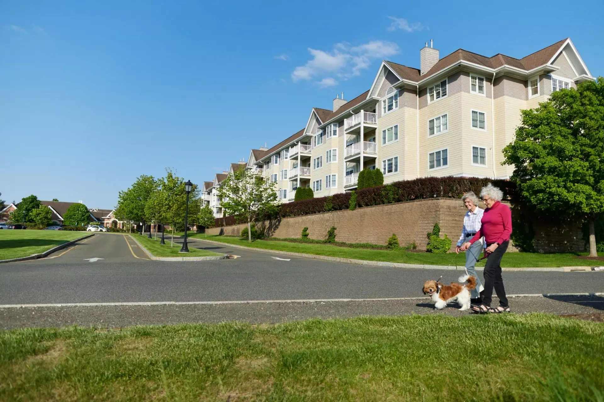 Senior women walking with dog