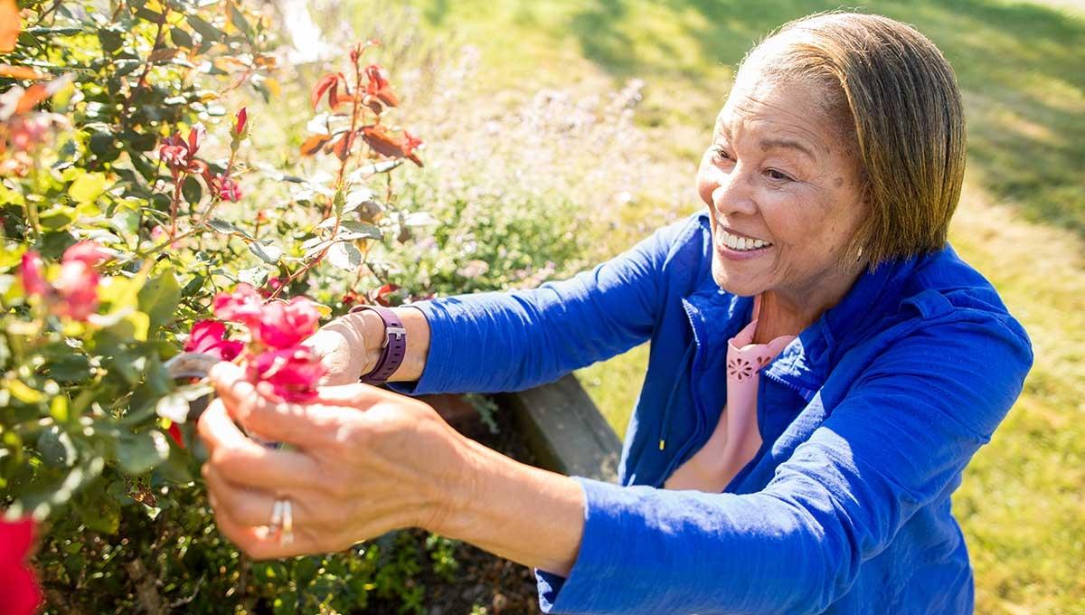 Senior woman picking flowers