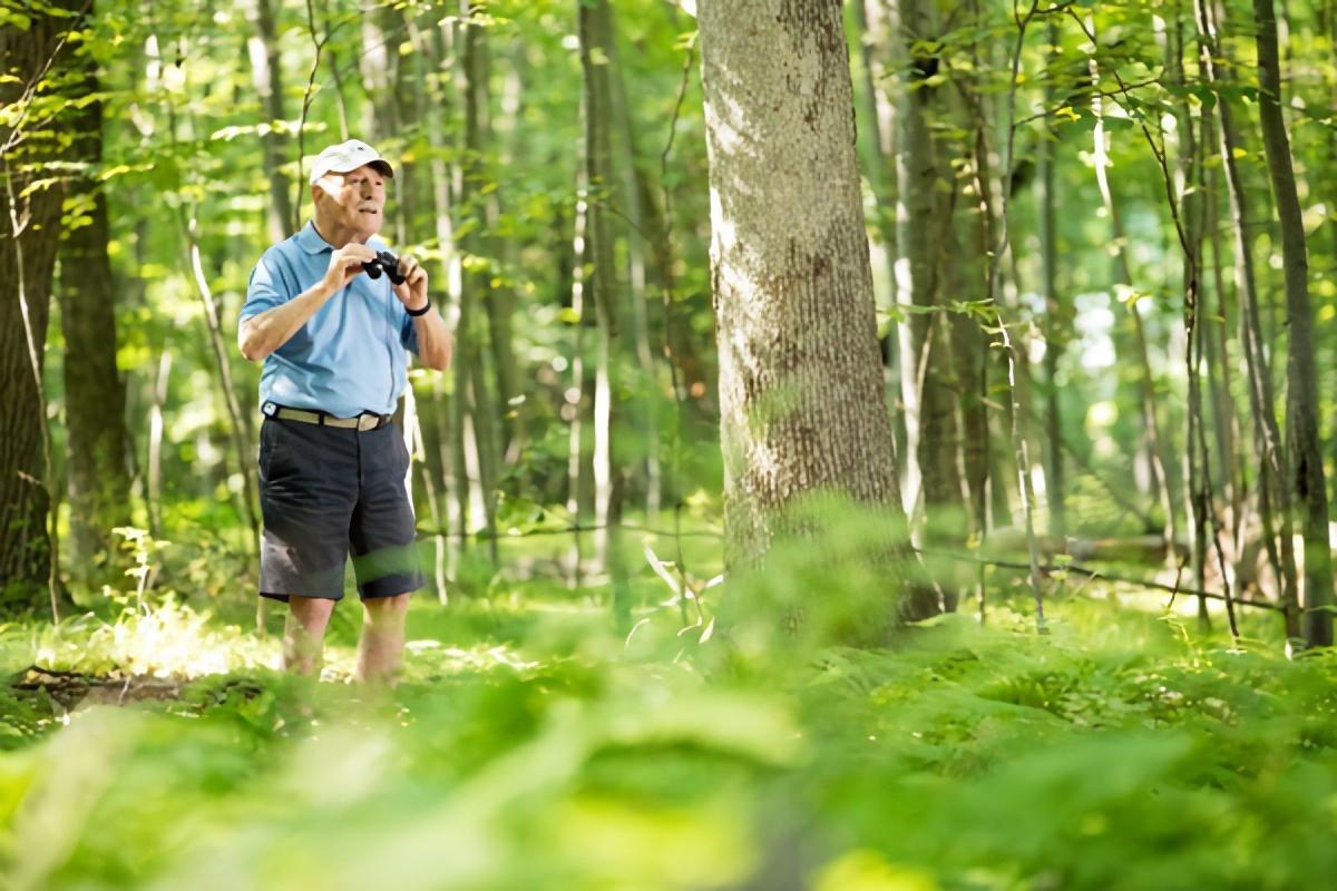 Elderly man bird watching in woods