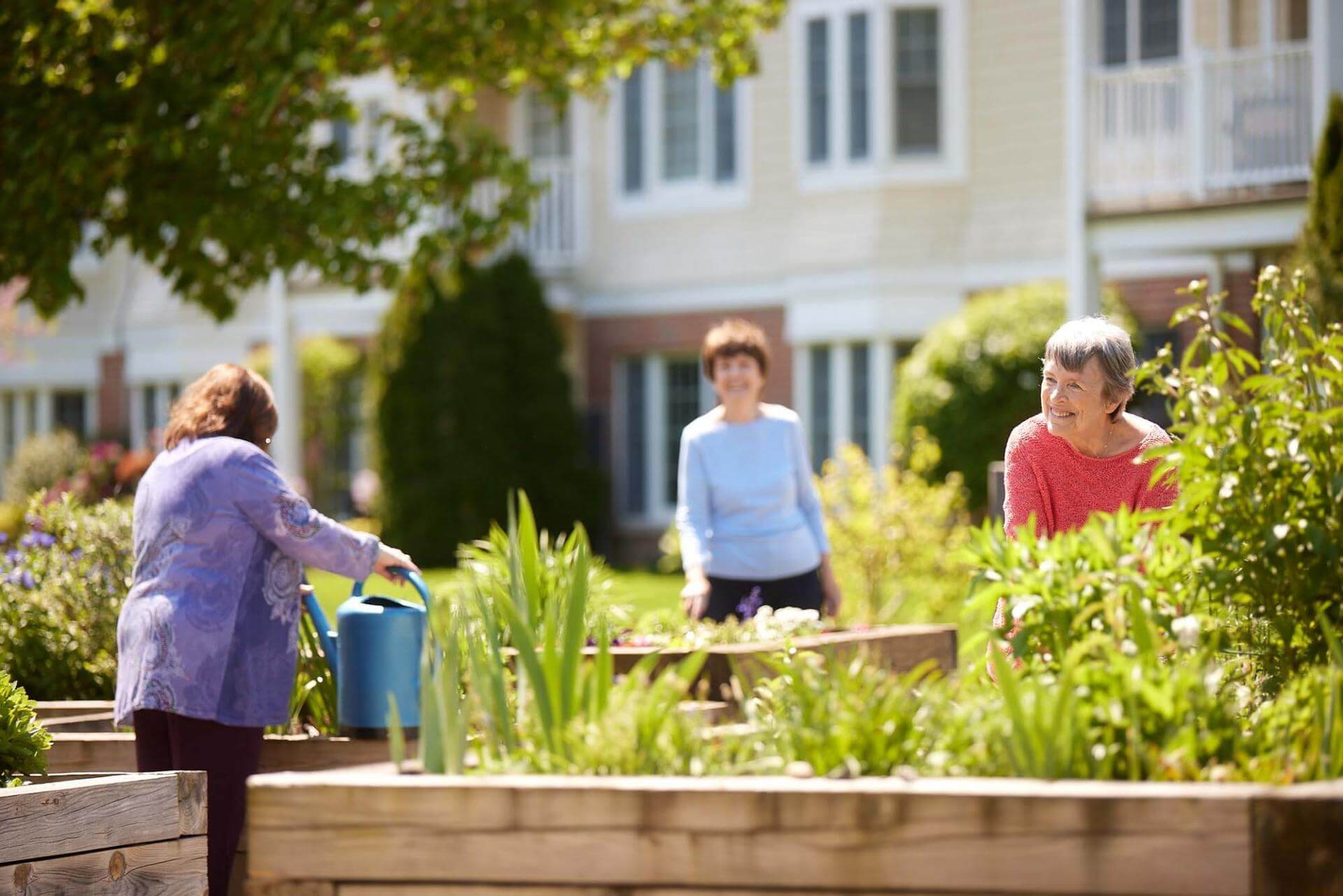 Older adults gardening