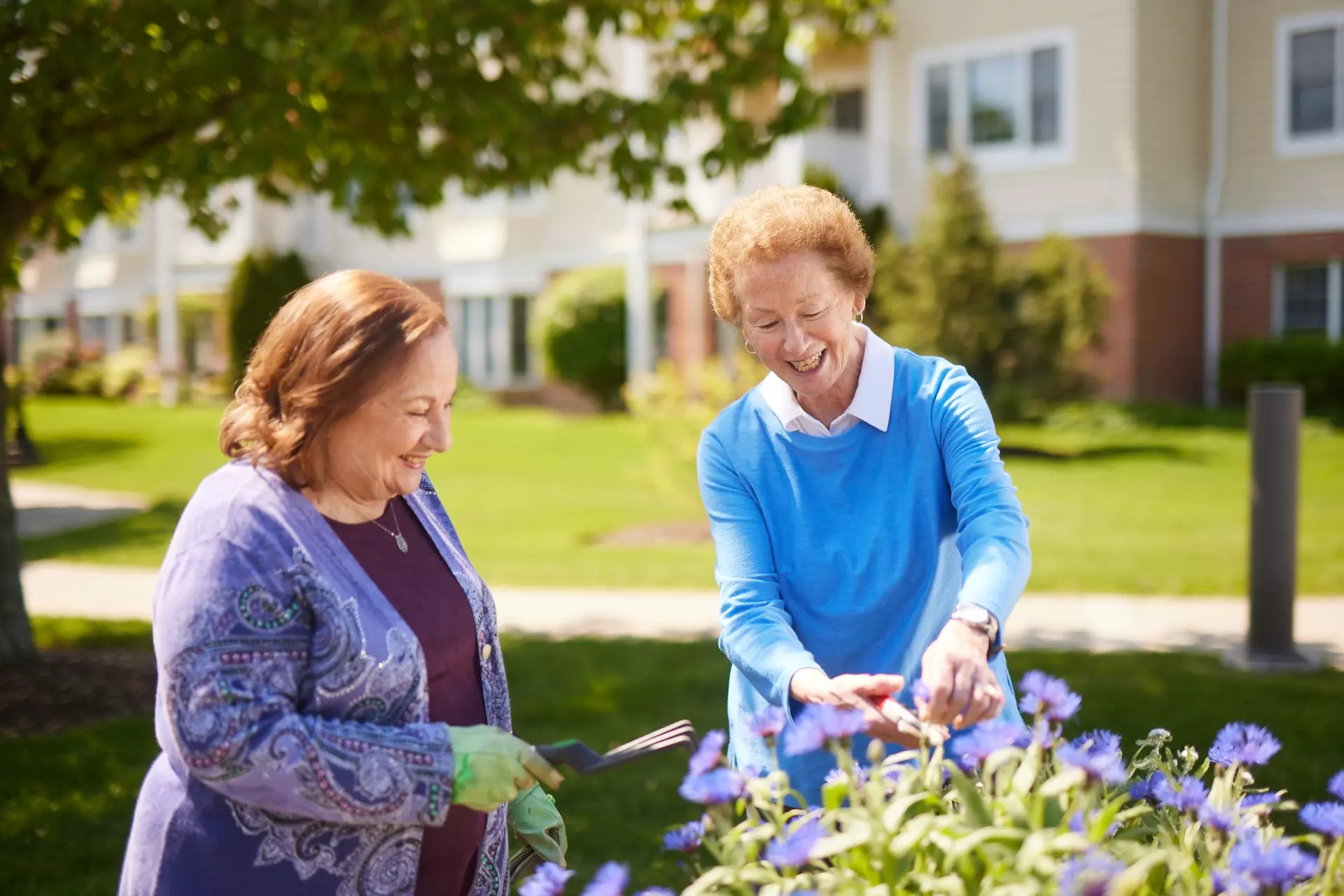 Senior women gardening