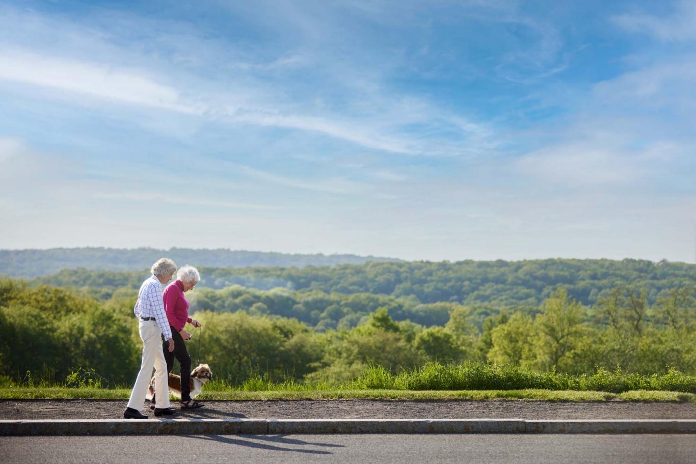 Seniors walking with dog outdoors