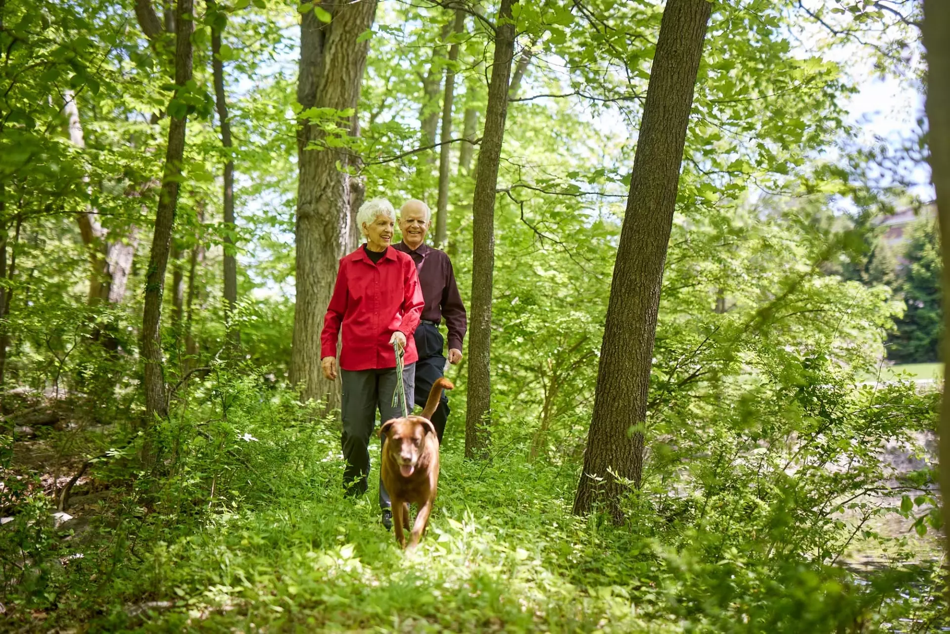 Seniors walking dog