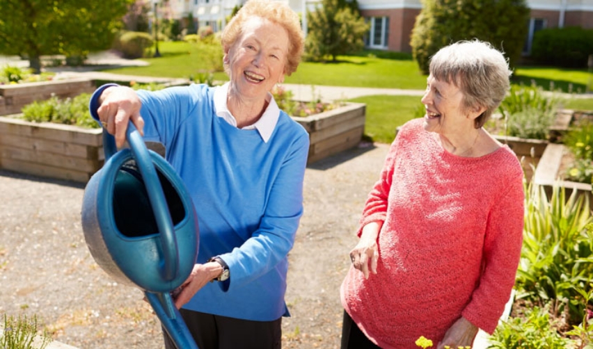 IL residents gardening