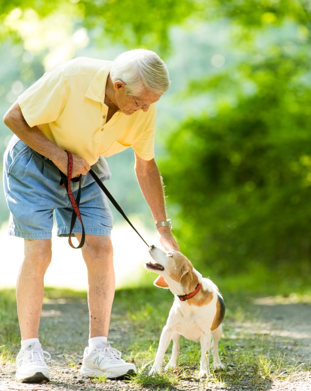 Resident walking his dog