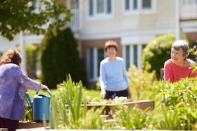 Residents gardening