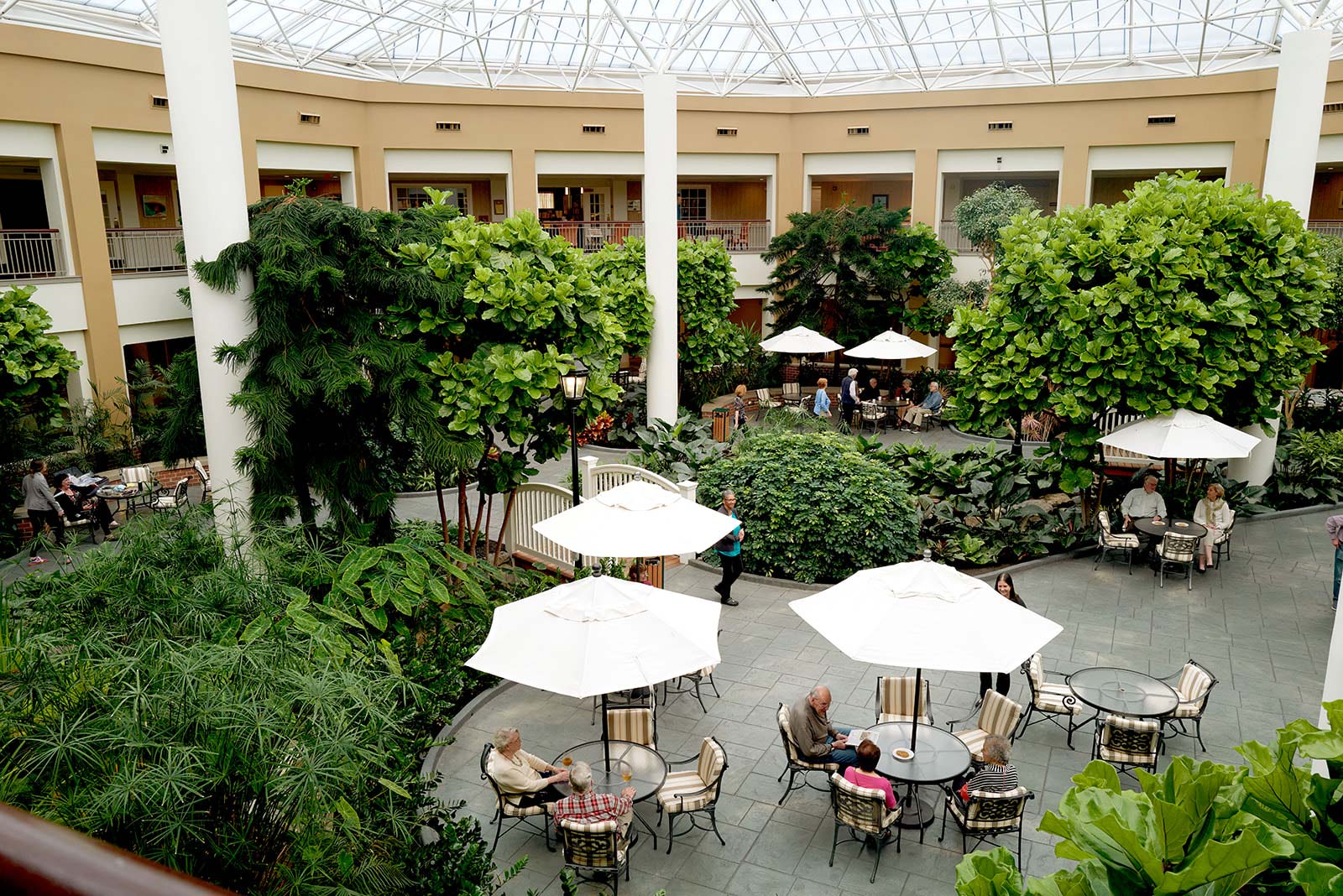Meadow Ridge atrium