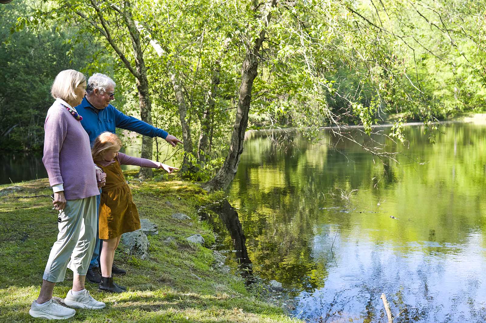 Meadow Ridge walking trails