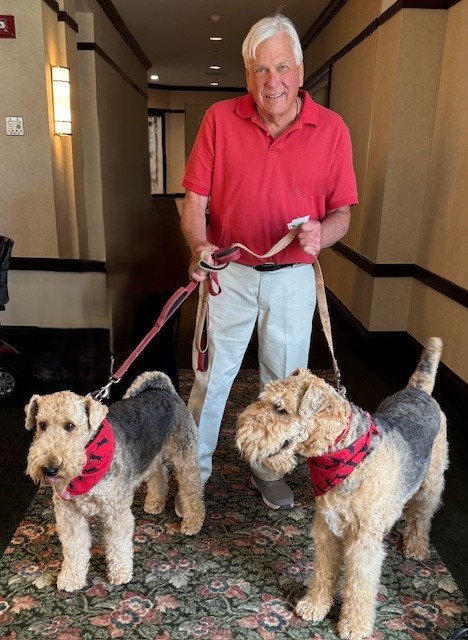 Senior man in red shirt with two large dogs on leashes